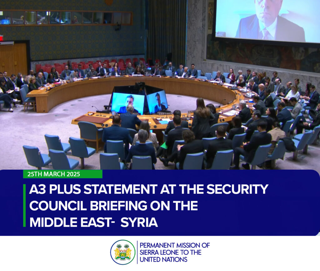 A3 Plus Statement at the Security Council Briefing on the Middle East- Syria