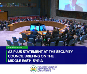 A3 Plus Statement at the Security Council Briefing on the Middle East- Syria